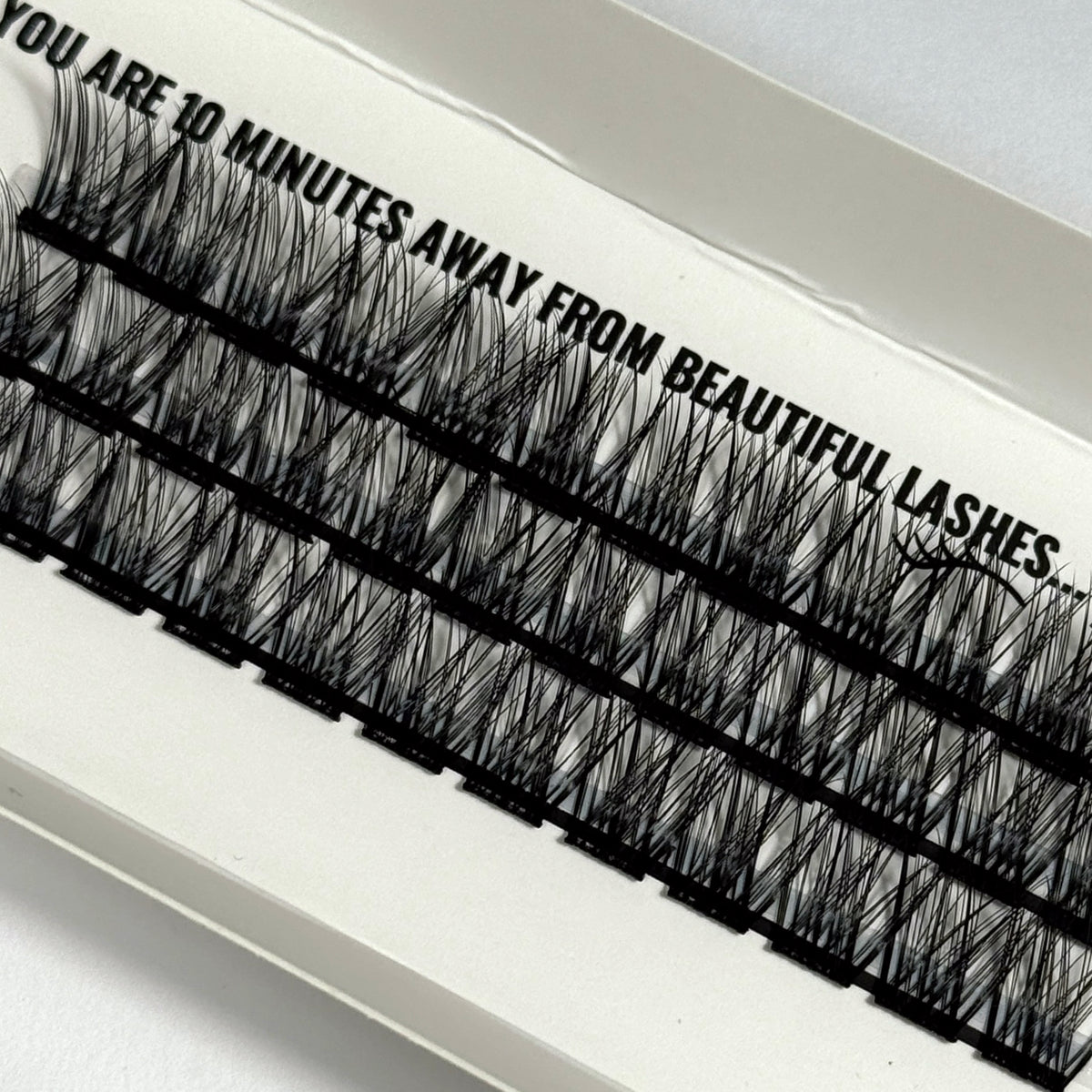 DIY Lashes - Queenie Brown // Fie Rose