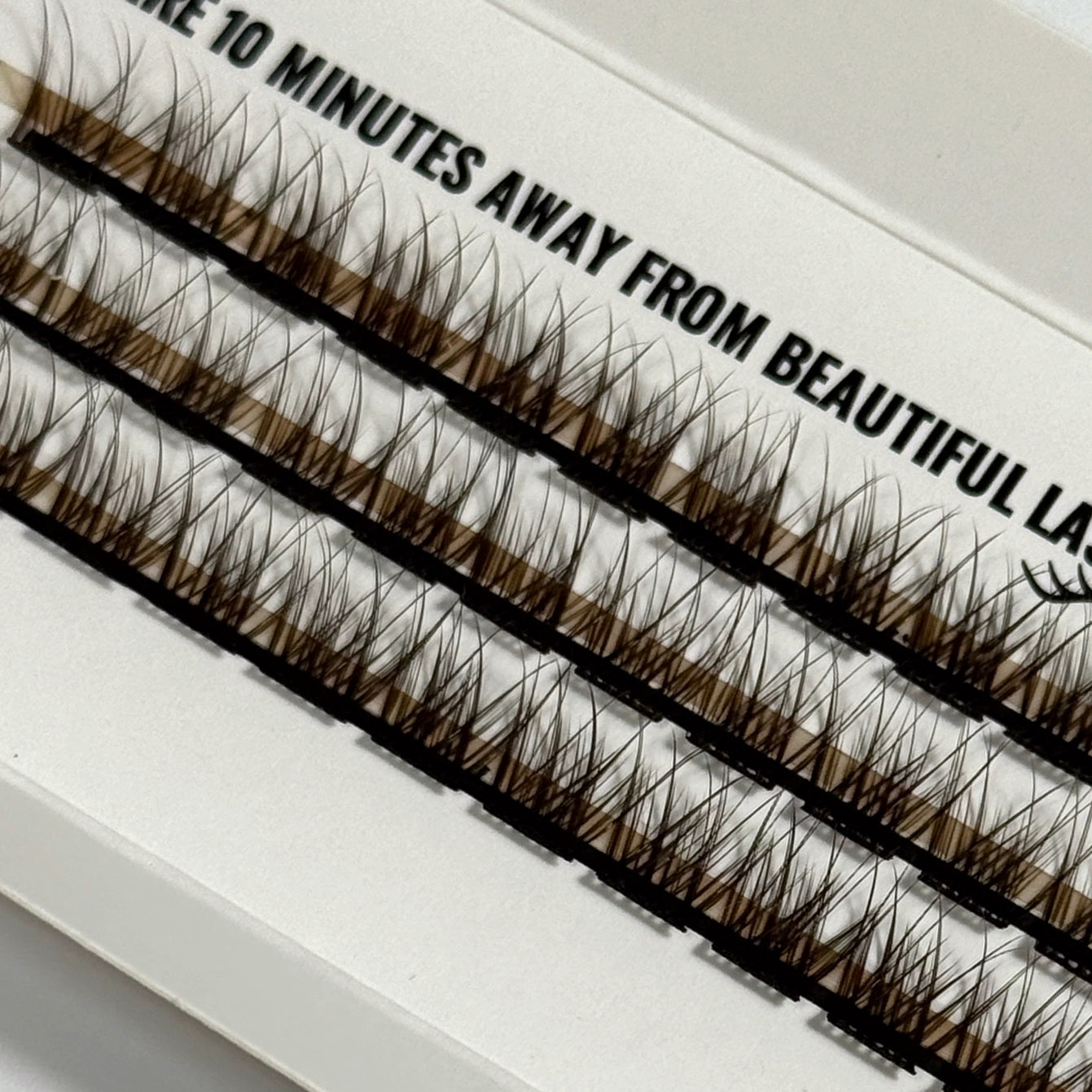 DIY Lashes - Queenie Brown // Fie Rose