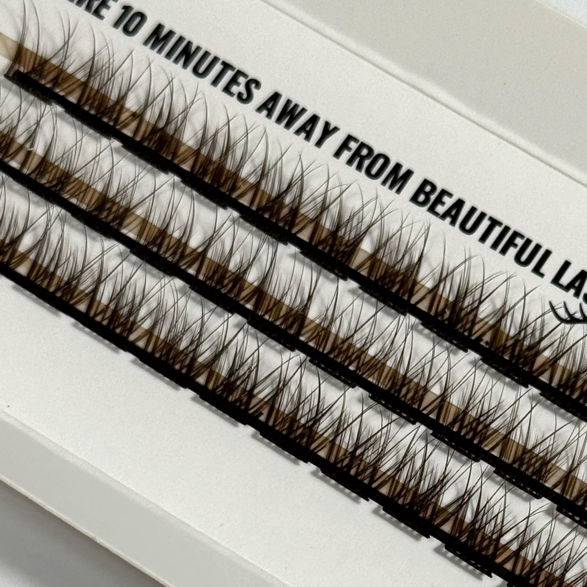 DIY Lashes - Queenie Brown // Fie Rose