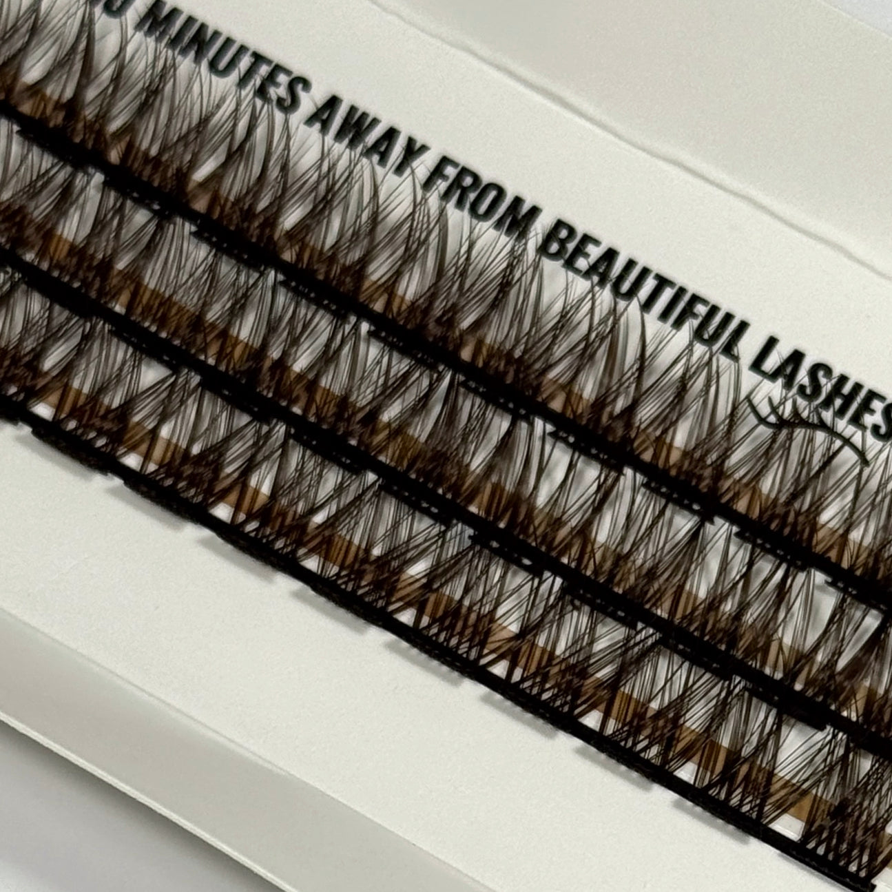 DIY Lashes - Queenie Brown // Fie Rose