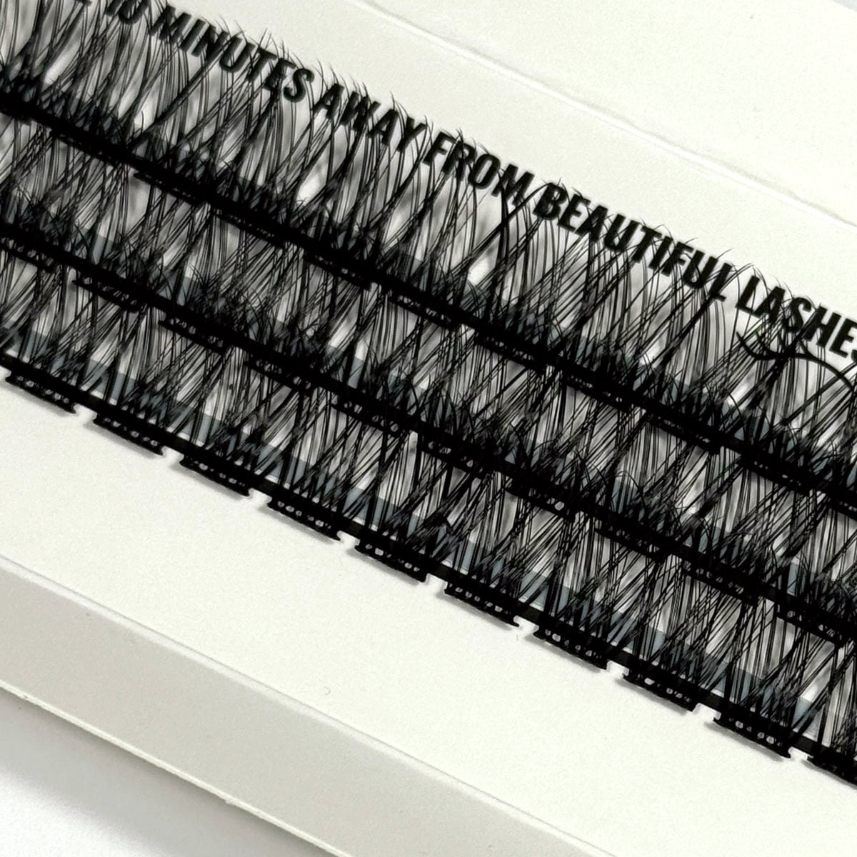 DIY Lashes - Queenie Brown // Fie Rose