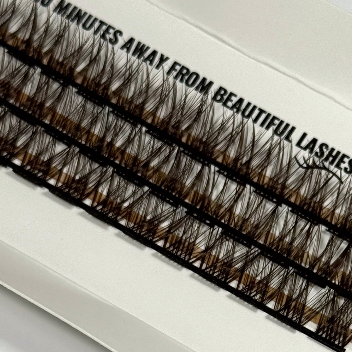 DIY Lashes - Queenie Brown // Fie Rose