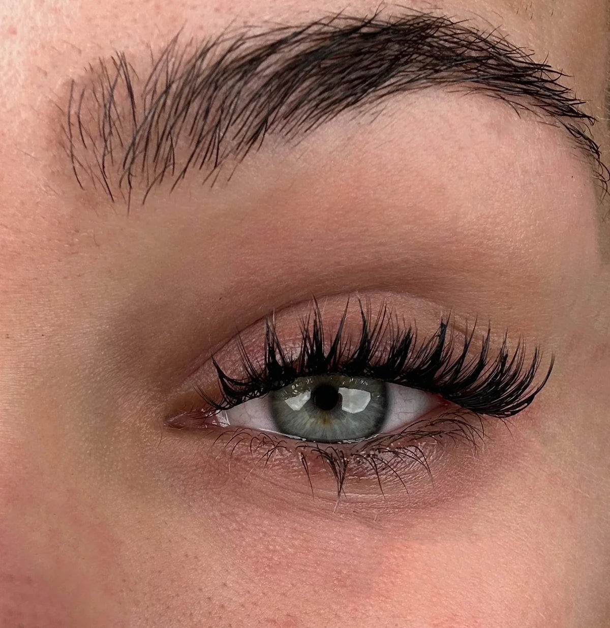 DIY Lashes - Queenie Brown // Fie Rose